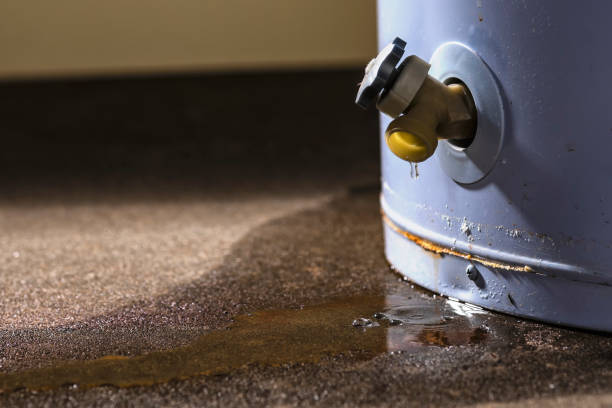 Best Fire Damage Restoration  in Signal Hill, CA