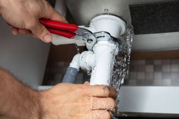 Best Water damage contractors near me  in Signal Hill, CA