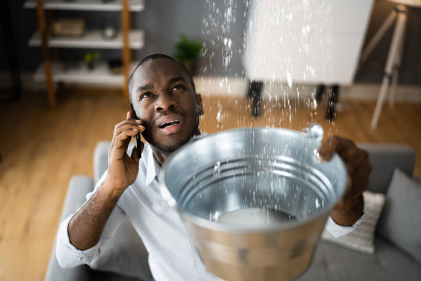 Best Water damage cleanup near me  in Signal Hill, CA