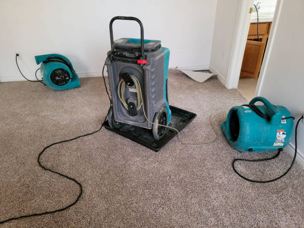 Local water damage restoration in CA
