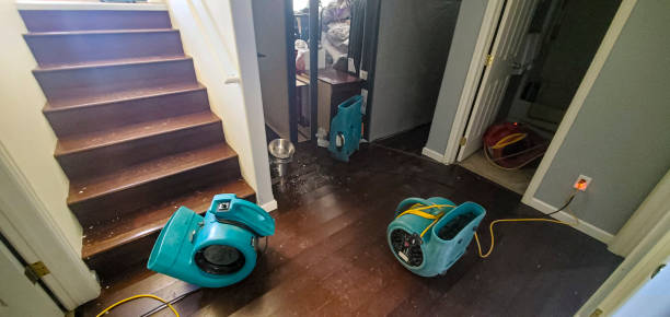 Best Water damage contractors near me  in Signal Hill, CA
