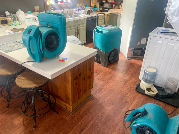Best Basement water damage restoration  in Signal Hill, CA