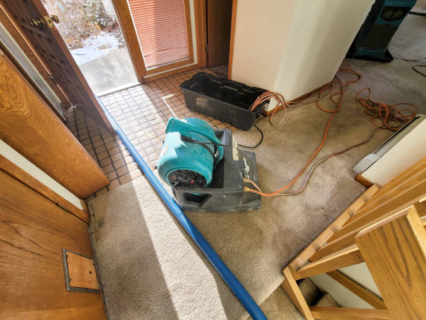 Best Water damage restoration company  in Signal Hill, CA