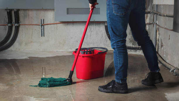 Best Flood restoration services  in Signal Hill, CA