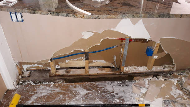 Best 24-hour water damage restoration  in Signal Hill, CA