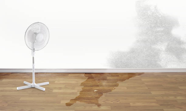 Best Sewage cleanup and water damage restoration  in Signal Hill, CA