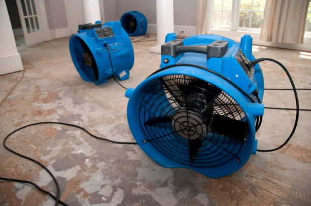 Best Ceiling water damage repair  in Signal Hill, CA