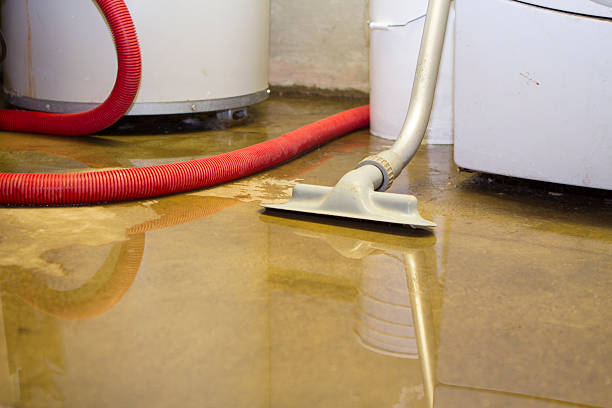 Best Water damage restoration specialists  in Signal Hill, CA