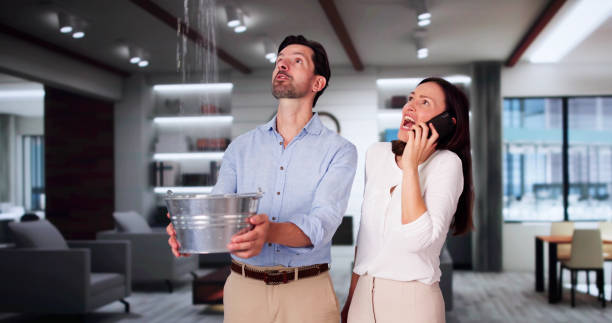 Best Water damage restoration insurance claims  in Signal Hill, CA